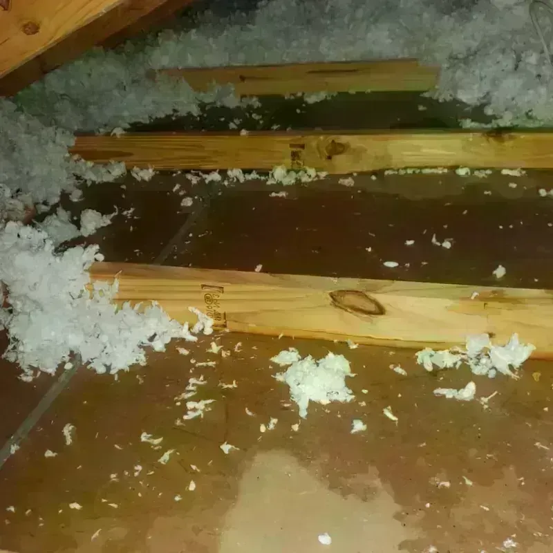 Attic Water Damage in Suamico, WI