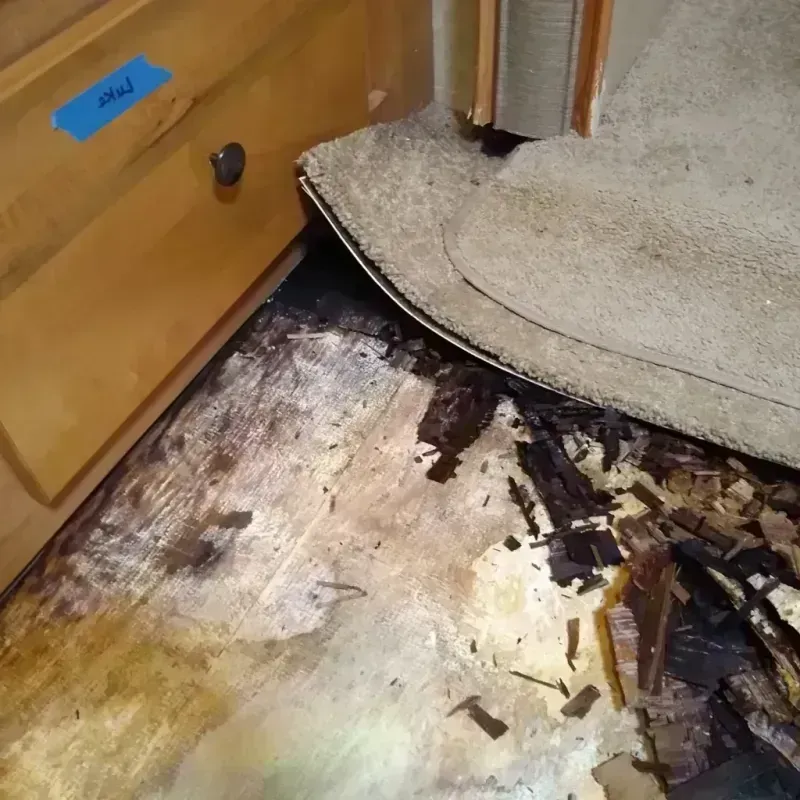 Wood Floor Water Damage in Suamico, WI